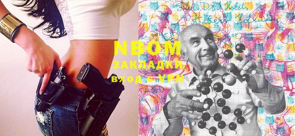 прущие грибы Абдулино