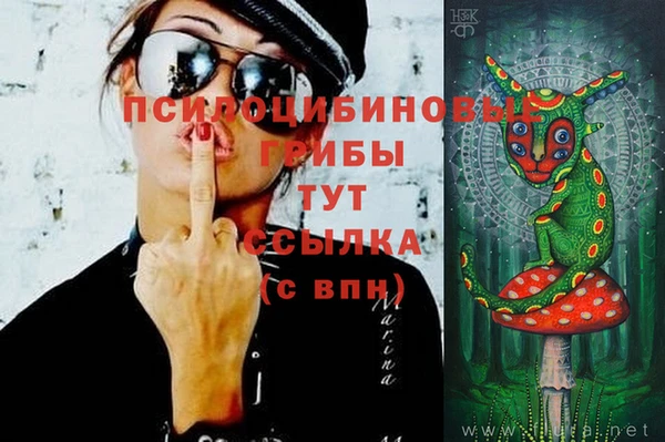 синтетический гашиш Алексин