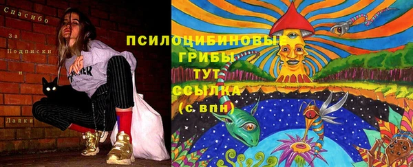 синтетический гашиш Алексин