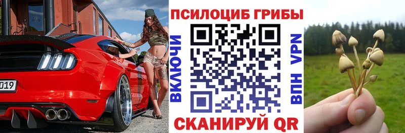 наркотики  Тейково  Псилоцибиновые грибы мицелий 