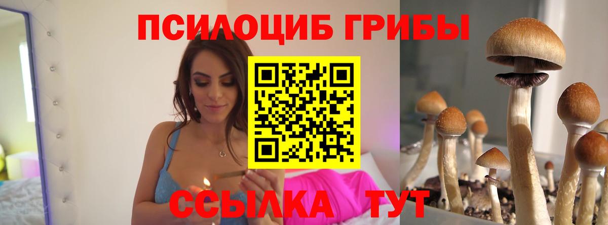 Тейково  Псилоцибиновые грибы Cubensis  Галлюциногенные грибы прущие грибы  Вход с VPN 